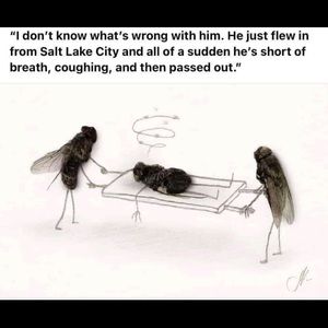 Meet your Posher, Sheriff